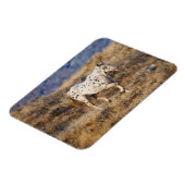 Magnet Flexible Cheval Parcourir les collines Pittoresques de la G (Côté Gauche)