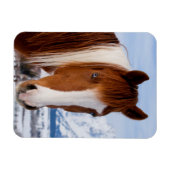Magnet Flexible Cheval Pinto Mount Moran en hiver (Horizontal)