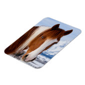 Magnet Flexible Cheval Pinto Mount Moran en hiver (Côté Gauche)