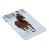 Magnet Flexible Cheval seul courant dans la neige (Côté Droit)