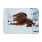 Magnet Flexible Cheval seul courant dans la neige (Horizontal)