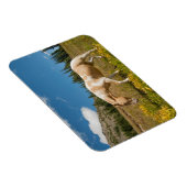 Magnet Flexible Cheval sur herbes dans une prairie alpine en été (Côté Droit)