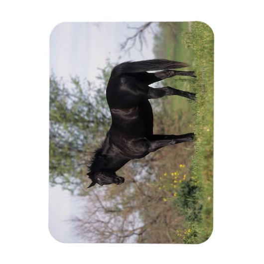 Magnet Flexible Cheval Thoroughbred debout (Vertical)