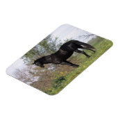 Magnet Flexible Cheval Thoroughbred debout (Côté Gauche)