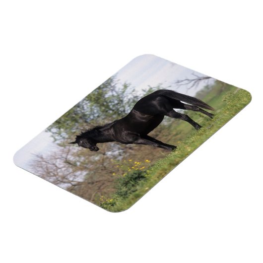 Magnet Flexible Cheval Thoroughbred debout (Côté Gauche)