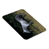 Magnet Flexible Cheval Thoroughbred debout à la clôture (Côté Droit)