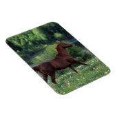 Magnet Flexible Cheval Thoroughbred debout en fleurs (Côté Droit)