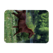 Magnet Flexible Cheval Thoroughbred debout en fleurs (Horizontal)