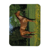 Magnet Flexible Cheval Thoroughbred en Fleurs (Vertical)