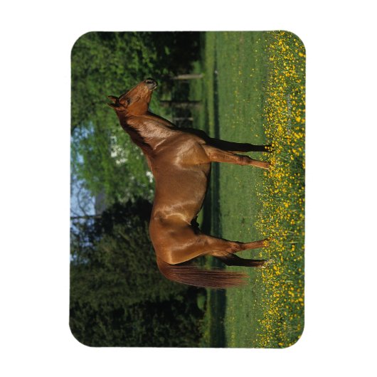 Magnet Flexible Cheval Thoroughbred en Fleurs (Vertical)