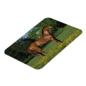 Magnet Flexible Cheval Thoroughbred en Fleurs (Côté Gauche)
