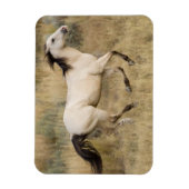 Magnet Flexible Cheval Traversant L'Herbe Des Prairies (Vertical)