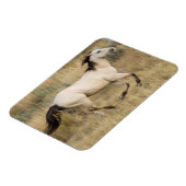 Magnet Flexible Cheval Traversant L'Herbe Des Prairies (Côté Gauche)