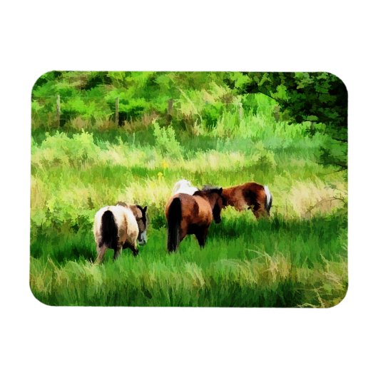 MAGNET FLEXIBLE CHEVAUX (Horizontal)