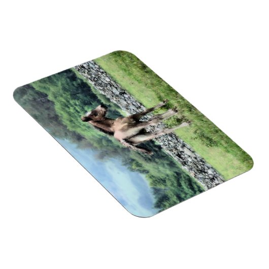 MAGNET FLEXIBLE CHEVAUX (Côté Droit)