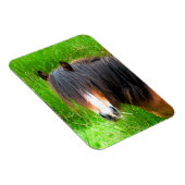 MAGNET FLEXIBLE CHEVAUX (Côté Droit)