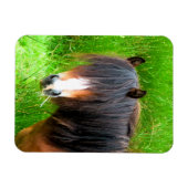 MAGNET FLEXIBLE CHEVAUX (Horizontal)