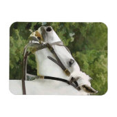 MAGNET FLEXIBLE CHEVAUX (Horizontal)