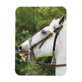 MAGNET FLEXIBLE CHEVAUX (Vertical)