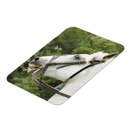 MAGNET FLEXIBLE CHEVAUX (Côté Gauche)