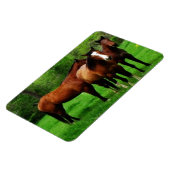 MAGNET FLEXIBLE CHEVAUX AMICAUX (Côté Gauche)