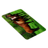MAGNET FLEXIBLE CHEVAUX AMICAUX (Côté Droit)