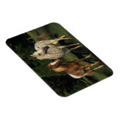Magnet Flexible Chevaux Appaloosa (Côté Droit)