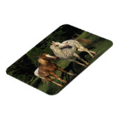 Magnet Flexible Chevaux Appaloosa (Côté Gauche)