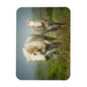 Magnet Flexible Chevaux blancs de Camargue en champ (Vertical)
