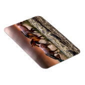 Magnet Flexible Chevaux courir dans le Surf océanique au coucher d (Côté Droit)