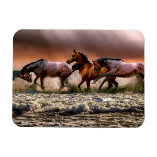Magnet Flexible Chevaux courir dans le Surf océanique au coucher d