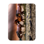 Magnet Flexible Chevaux courir dans le Surf océanique au coucher d (Vertical)