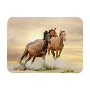 Magnet Flexible Chevaux dans le coucher du soleil