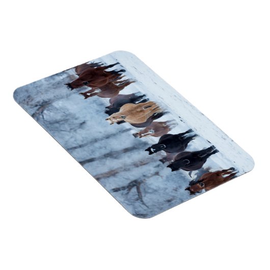 Magnet Flexible Chevaux dans le froid (Côté Droit)