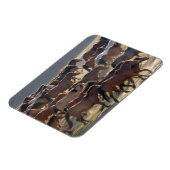 Magnet Flexible Chevaux dans le ranch, Mongolie intérieure, Chine (Côté Gauche)
