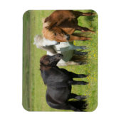 Magnet Flexible Chevaux dans le ranch, sud de l'Islande (Vertical)