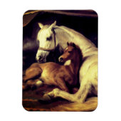 Magnet Flexible Chevaux d'atterrisseur (Vertical)