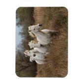Magnet Flexible Chevaux de Camargue en course (Vertical)