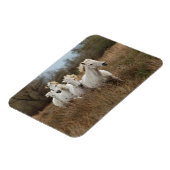 Magnet Flexible Chevaux de Camargue en course (Côté Gauche)