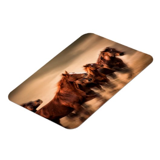 Magnet Flexible Chevaux de course (Côté Gauche)