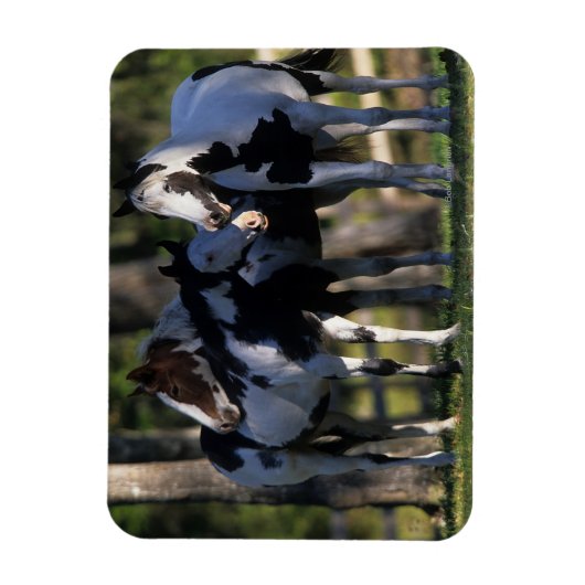 Magnet Flexible Chevaux de peinture (Vertical)