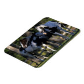 Magnet Flexible Chevaux de peinture (Côté Gauche)