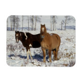 Magnet Flexible Chevaux de peinture dans la neige (Horizontal)
