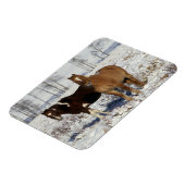 Magnet Flexible Chevaux de peinture dans la neige (Côté Gauche)