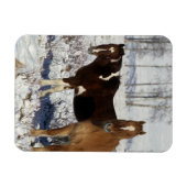Magnet Flexible Chevaux de peinture dans la neige (Horizontal)