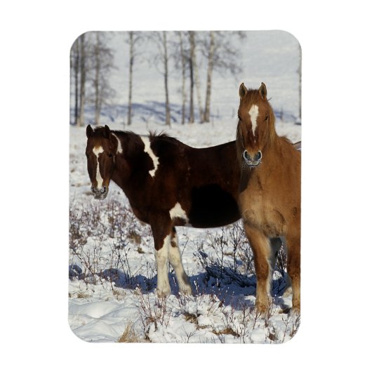 Magnet Flexible Chevaux de peinture dans la neige (Vertical)