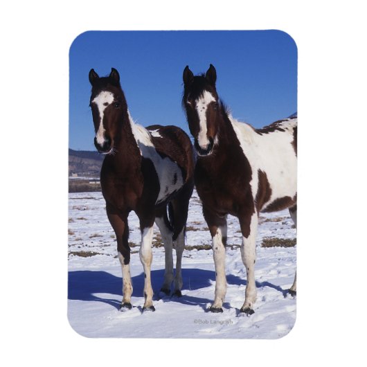 Magnet Flexible Chevaux de peinture debout dans la neige (Vertical)