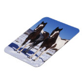 Magnet Flexible Chevaux de peinture debout dans la neige (Côté Gauche)