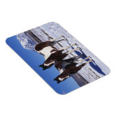 Magnet Flexible Chevaux de peinture debout dans la neige (Côté Droit)