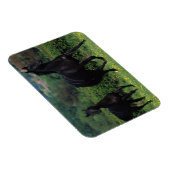 Magnet Flexible Chevaux de Thoroughbred en champ de fleurs (Côté Droit)